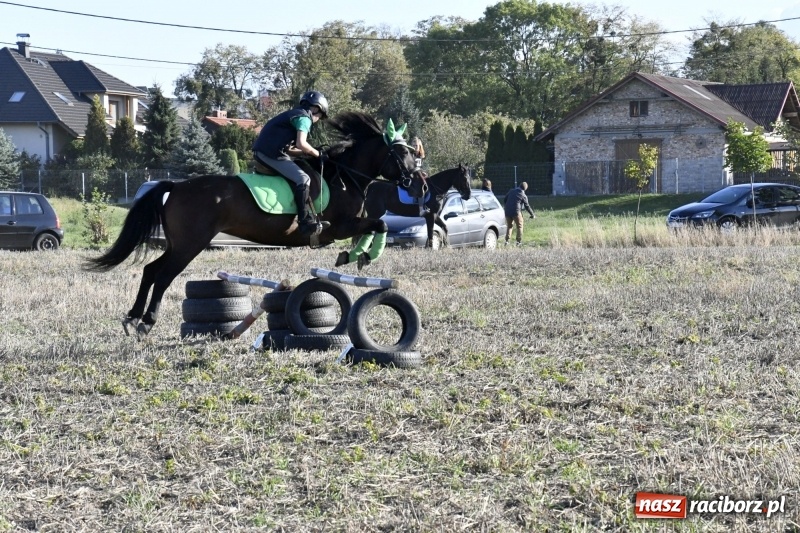 Zdjęcie w galerii na portalu naszraciborz.pl: Konkurs skoków przez przeszkody na raciborskim Hubertusie wiadomości z regionu