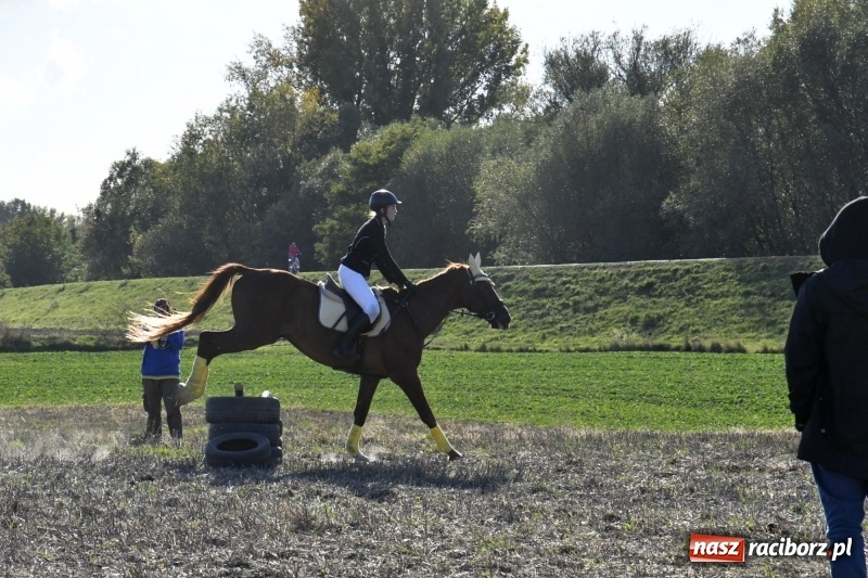 Zdjęcie w galerii na portalu naszraciborz.pl: Konkurs skoków przez przeszkody na raciborskim Hubertusie wiadomości z regionu