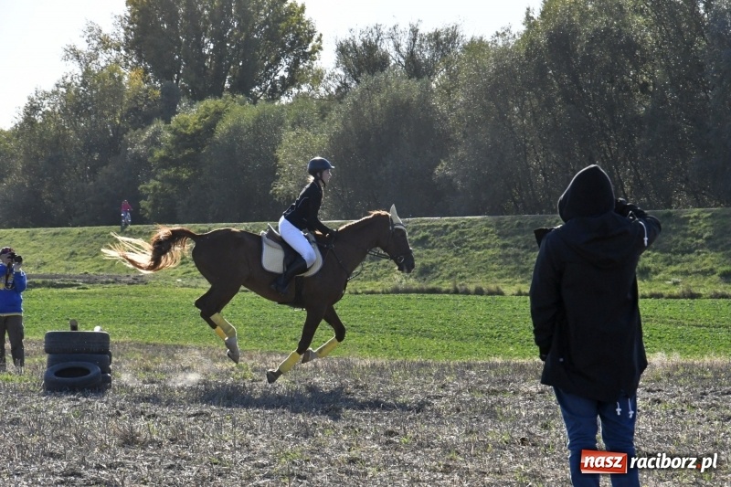Zdjęcie w galerii na portalu naszraciborz.pl: Konkurs skoków przez przeszkody na raciborskim Hubertusie wiadomości z regionu