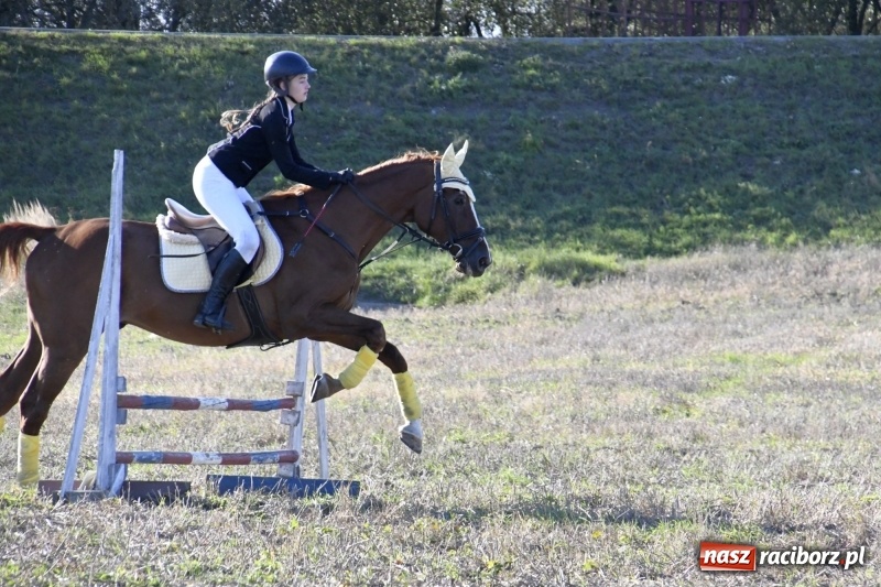 Zdjęcie w galerii na portalu naszraciborz.pl: Konkurs skoków przez przeszkody na raciborskim Hubertusie wiadomości z regionu