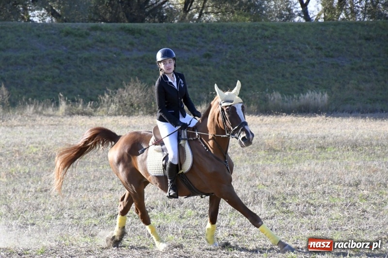 Zdjęcie w galerii na portalu naszraciborz.pl: Konkurs skoków przez przeszkody na raciborskim Hubertusie wiadomości z regionu