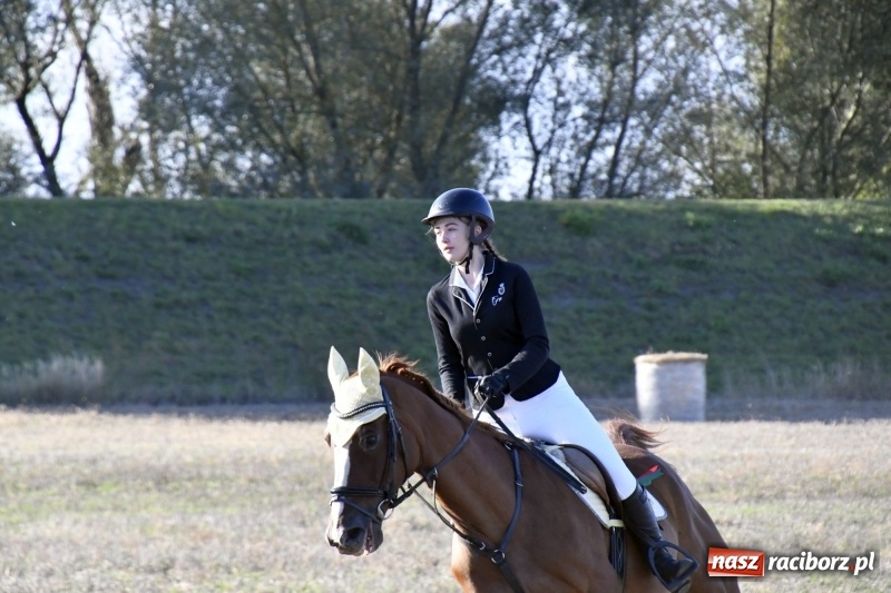 Zdjęcie w galerii na portalu naszraciborz.pl: Konkurs skoków przez przeszkody na raciborskim Hubertusie wiadomości z regionu
