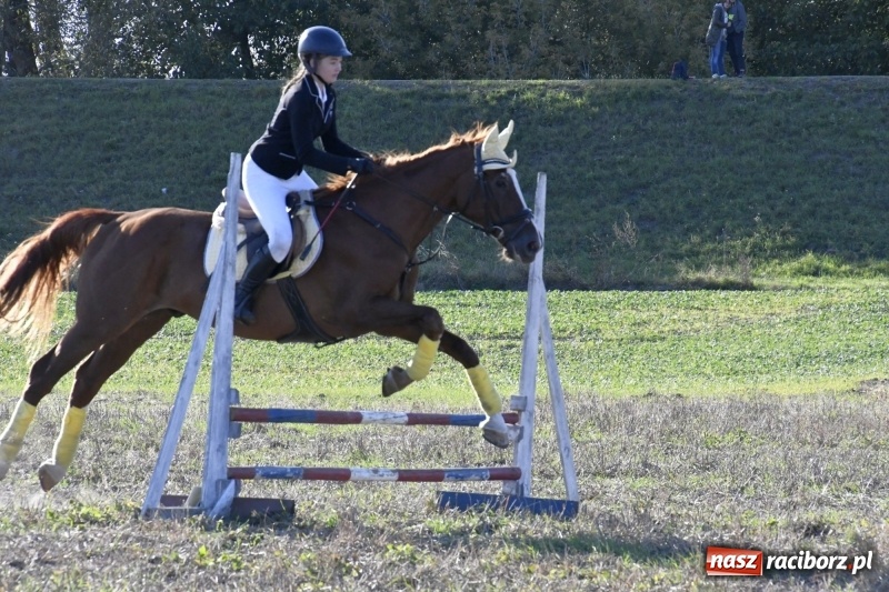 Zdjęcie w galerii na portalu naszraciborz.pl: Konkurs skoków przez przeszkody na raciborskim Hubertusie wiadomości z regionu