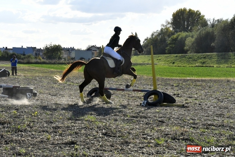 Zdjęcie w galerii na portalu naszraciborz.pl: Konkurs skoków przez przeszkody na raciborskim Hubertusie wiadomości z regionu