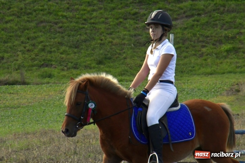 Zdjęcie w galerii na portalu naszraciborz.pl: Konkurs skoków przez przeszkody na raciborskim Hubertusie wiadomości z regionu