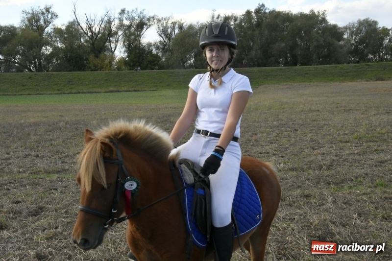 Zdjęcie w galerii na portalu naszraciborz.pl: Konkurs skoków przez przeszkody na raciborskim Hubertusie wiadomości z regionu