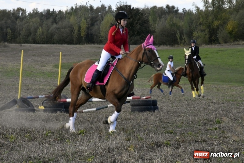 Zdjęcie w galerii na portalu naszraciborz.pl: Konkurs skoków przez przeszkody na raciborskim Hubertusie wiadomości z regionu