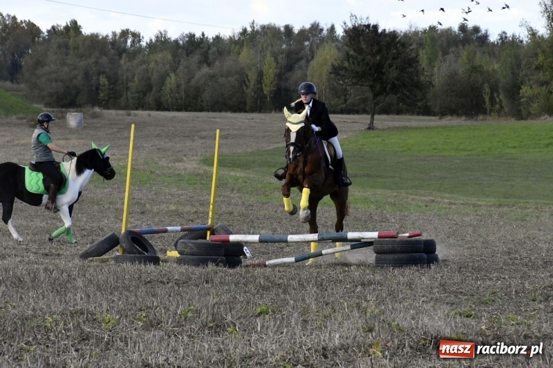 Zdjęcie w galerii na portalu naszraciborz.pl: Konkurs skoków przez przeszkody na raciborskim Hubertusie wiadomości z regionu
