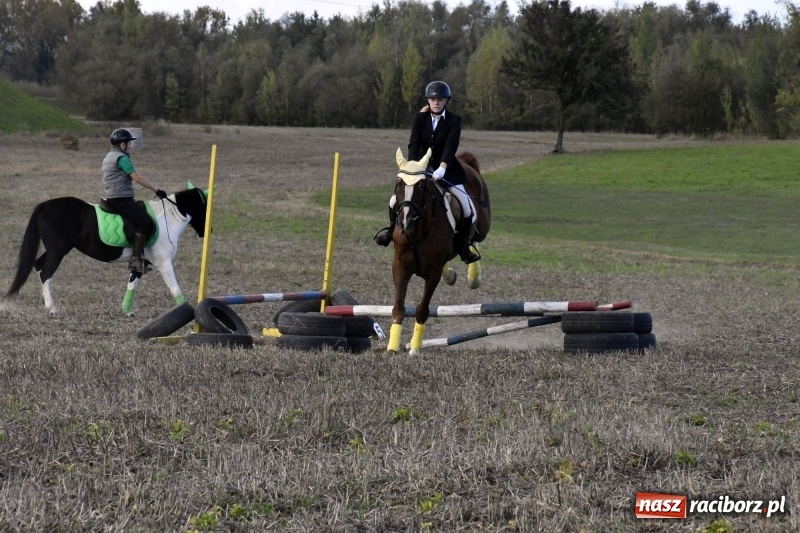 Zdjęcie w galerii na portalu naszraciborz.pl: Konkurs skoków przez przeszkody na raciborskim Hubertusie wiadomości z regionu