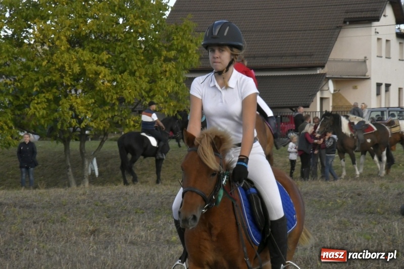 Zdjęcie w galerii na portalu naszraciborz.pl: Konkurs skoków przez przeszkody na raciborskim Hubertusie wiadomości z regionu