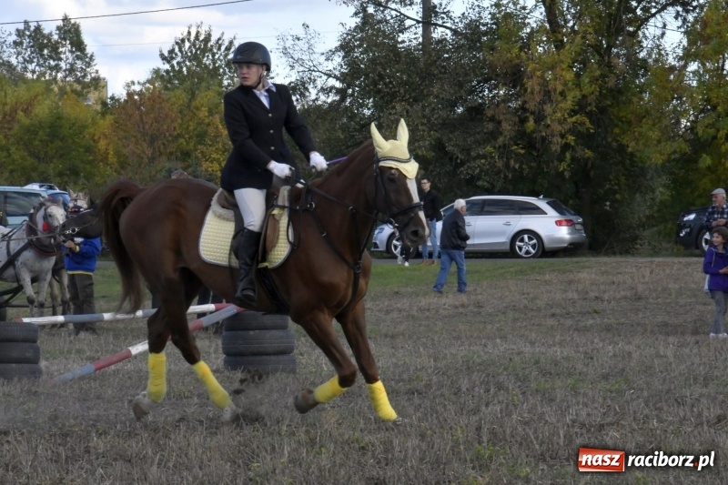 Zdjęcie w galerii na portalu naszraciborz.pl: Konkurs skoków przez przeszkody na raciborskim Hubertusie wiadomości z regionu