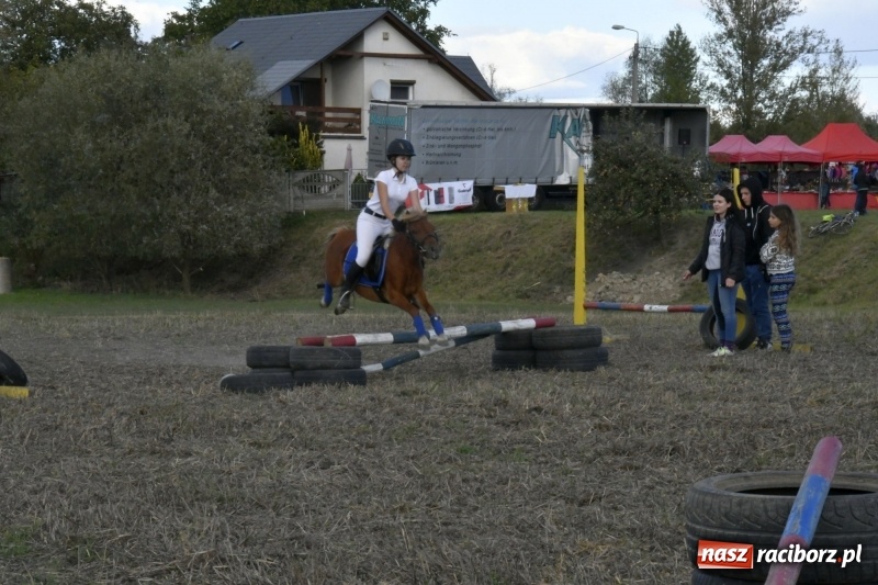 Zdjęcie w galerii na portalu naszraciborz.pl: Konkurs skoków przez przeszkody na raciborskim Hubertusie wiadomości z regionu