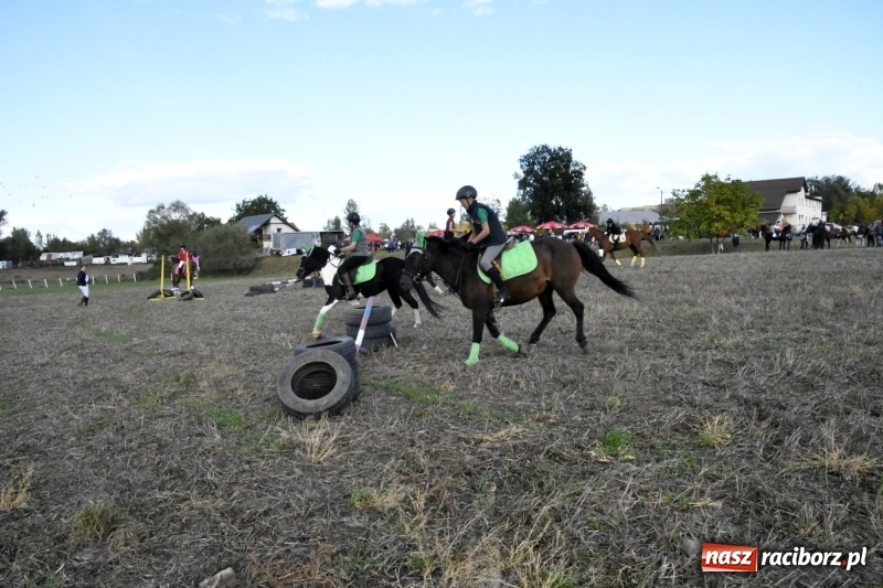 Zdjęcie w galerii na portalu naszraciborz.pl: Konkurs skoków przez przeszkody na raciborskim Hubertusie wiadomości z regionu