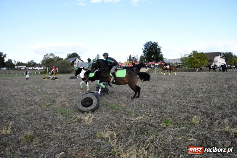Zdjęcie w galerii na portalu naszraciborz.pl: Konkurs skoków przez przeszkody na raciborskim Hubertusie wiadomości z regionu