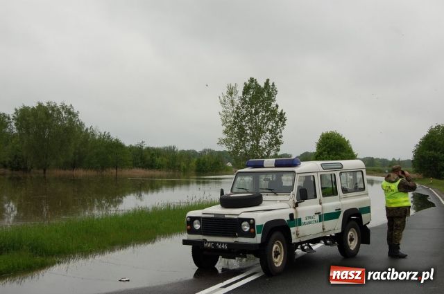 Zdjęcie w galerii na portalu naszraciborz.pl: Straż Graniczna w akcji Powódź 2010 wiadomości z regionu