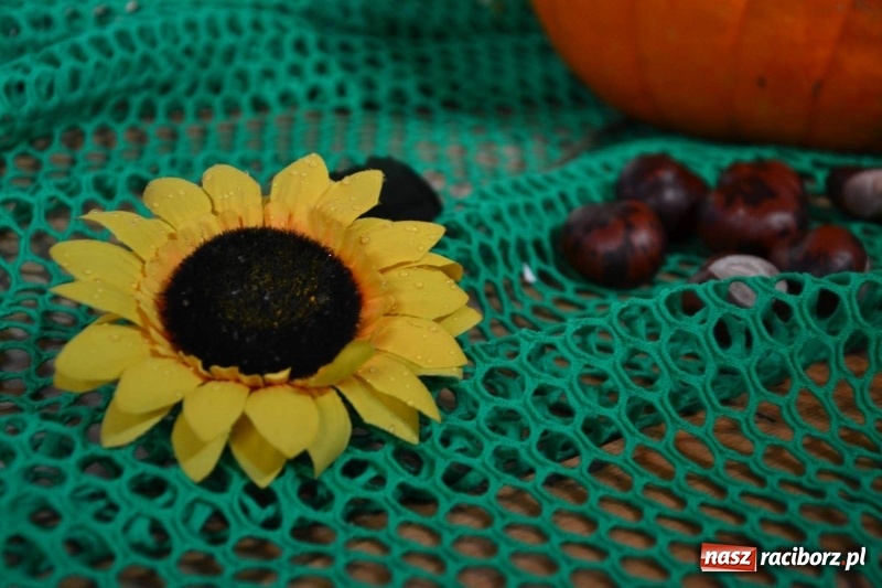 Zdjęcie w galerii na portalu naszraciborz.pl: Z zamkowej sceny. Co Seniorom w duszy gra?  wiadomości z regionu