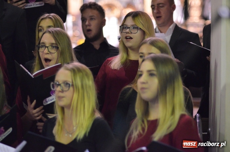 Zdjęcie w galerii na portalu naszraciborz.pl: XXXI Dni Muzyki Organowej i Kameralnej za nami  wiadomości z regionu