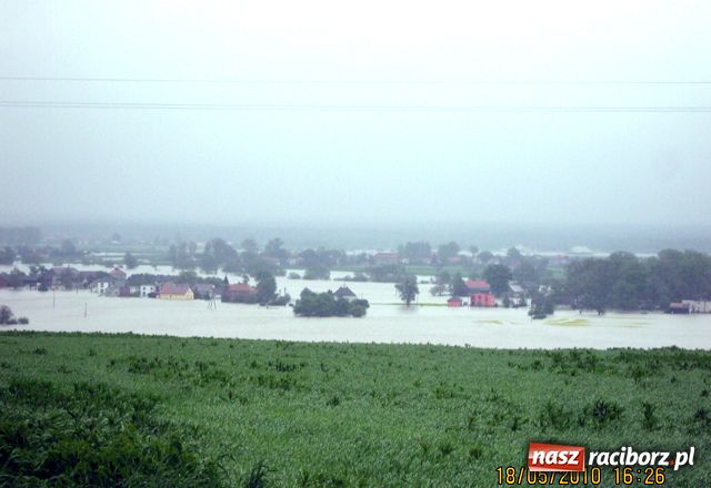 Zdjęcie w galerii na portalu naszraciborz.pl: Nie mamy wałów. Zalało 100 proc. terenu wiadomości z regionu
