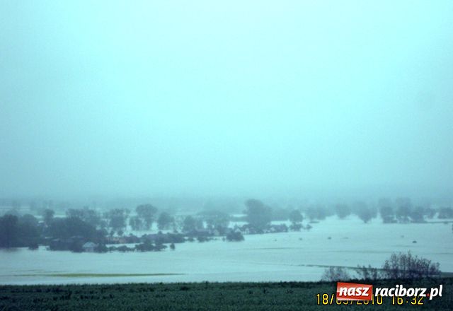 Zdjęcie w galerii na portalu naszraciborz.pl: Nie mamy wałów. Zalało 100 proc. terenu wiadomości z regionu