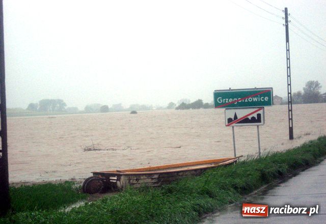 Zdjęcie w galerii na portalu naszraciborz.pl: Nie mamy wałów. Zalało 100 proc. terenu wiadomości z regionu