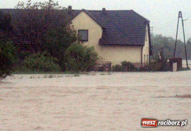 Zdjęcie w galerii na portalu naszraciborz.pl: Nie mamy wałów. Zalało 100 proc. terenu wiadomości z regionu