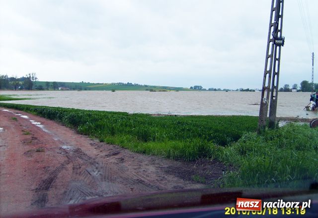 Zdjęcie w galerii na portalu naszraciborz.pl: Nie mamy wałów. Zalało 100 proc. terenu wiadomości z regionu