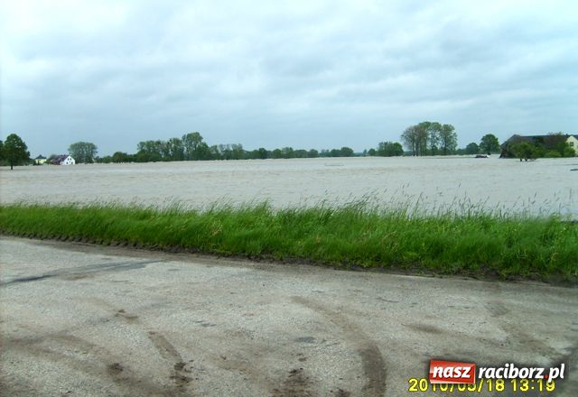 Zdjęcie w galerii na portalu naszraciborz.pl: Nie mamy wałów. Zalało 100 proc. terenu wiadomości z regionu