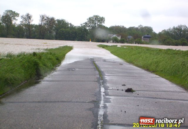 Zdjęcie w galerii na portalu naszraciborz.pl: Nie mamy wałów. Zalało 100 proc. terenu wiadomości z regionu