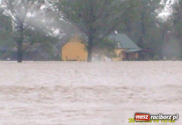 Zdjęcie w galerii na portalu naszraciborz.pl: Nie mamy wałów. Zalało 100 proc. terenu wiadomości z regionu