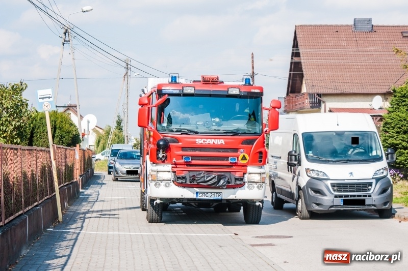 Zdjęcie w galerii na portalu naszraciborz.pl: Bomba odnaleziona w Krzyżanowicach miała kilometr pola rażenia! wiadomości z regionu