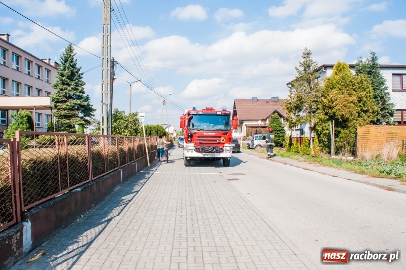 Zdjęcie w galerii na portalu naszraciborz.pl: Bomba odnaleziona w Krzyżanowicach miała kilometr pola rażenia! wiadomości z regionu