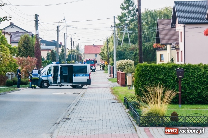 Zdjęcie w galerii na portalu naszraciborz.pl: Bomba odnaleziona w Krzyżanowicach miała kilometr pola rażenia! wiadomości z regionu