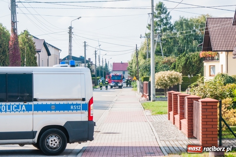 Zdjęcie w galerii na portalu naszraciborz.pl: Bomba odnaleziona w Krzyżanowicach miała kilometr pola rażenia! wiadomości z regionu