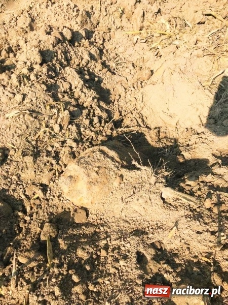 Zdjęcie w galerii na portalu naszraciborz.pl: Bomba odnaleziona w Krzyżanowicach miała kilometr pola rażenia! wiadomości z regionu