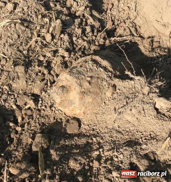 Zdjęcie w galerii na portalu naszraciborz.pl: Bomba odnaleziona w Krzyżanowicach miała kilometr pola rażenia! wiadomości z regionu