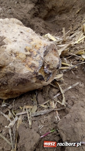 Zdjęcie w galerii na portalu naszraciborz.pl: Bomba odnaleziona w Krzyżanowicach miała kilometr pola rażenia! wiadomości z regionu