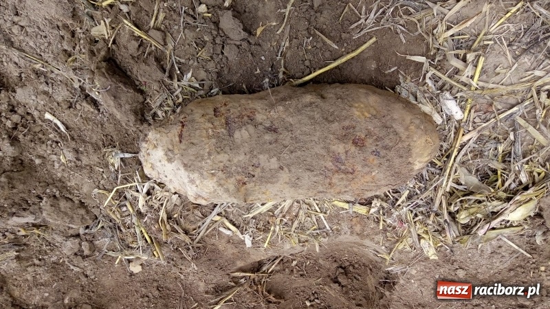 Zdjęcie w galerii na portalu naszraciborz.pl: Bomba odnaleziona w Krzyżanowicach miała kilometr pola rażenia! wiadomości z regionu