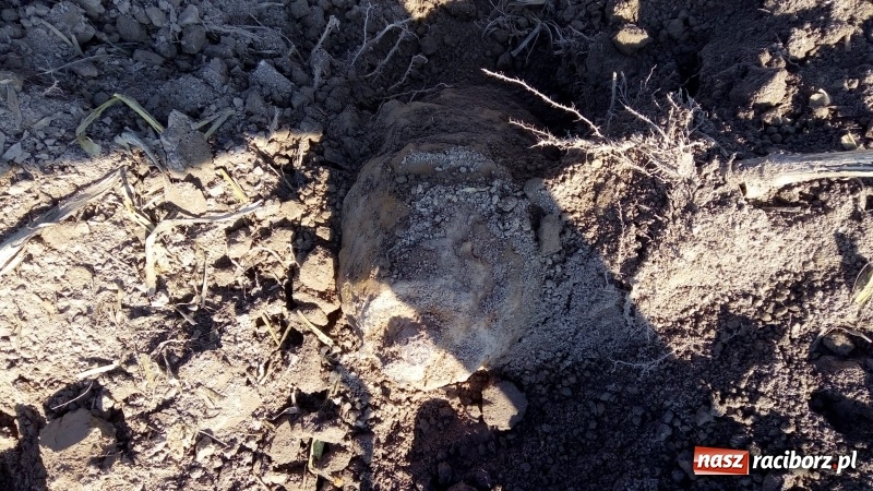 Zdjęcie w galerii na portalu naszraciborz.pl: Bomba odnaleziona w Krzyżanowicach miała kilometr pola rażenia! wiadomości z regionu