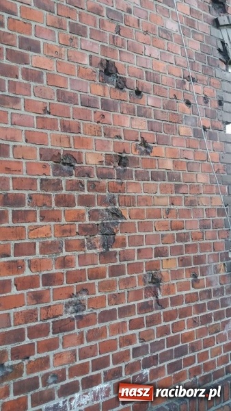 Zdjęcie w galerii na portalu naszraciborz.pl: Rok 1945. Ślady wojny w Wojnowicach wiadomości z regionu