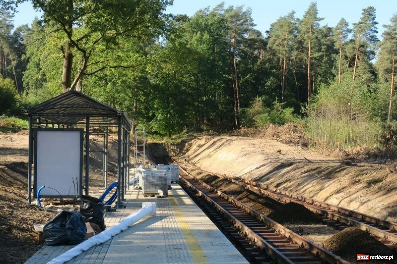 Zdjęcie w galerii na portalu naszraciborz.pl: Wąskotorówką przez jesienny las wiadomości z regionu