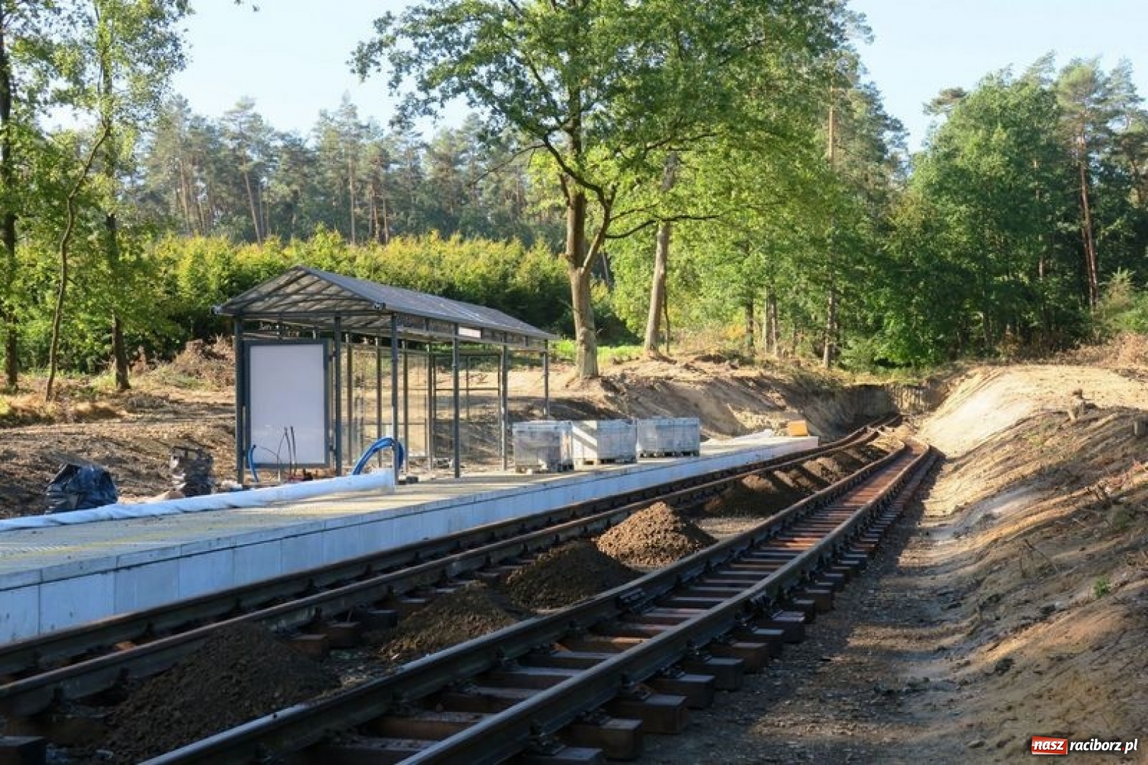 Zdjęcie w galerii na portalu naszraciborz.pl: Wąskotorówką przez jesienny las wiadomości z regionu