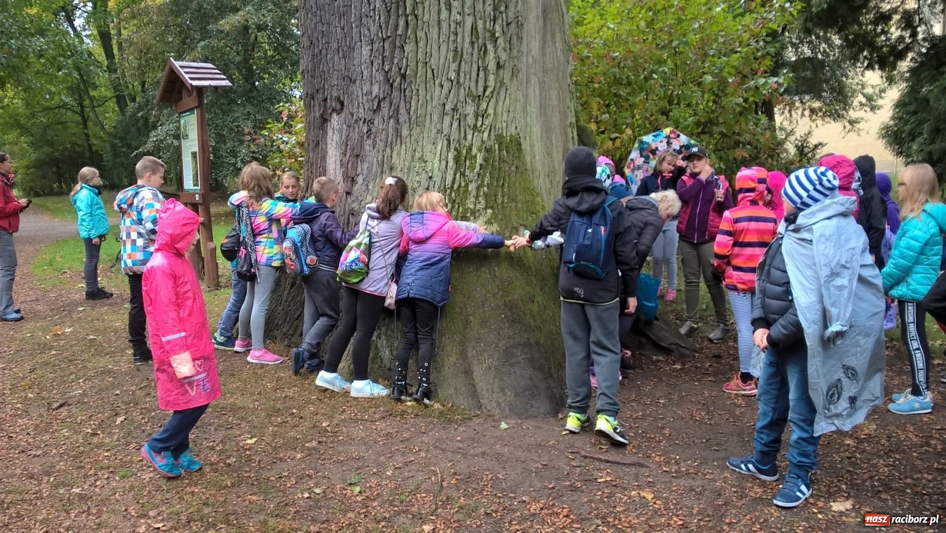 Zdjęcie w galerii na portalu naszraciborz.pl: Uczniowie SP 15 stali się kowalami w Rudach wiadomości z regionu