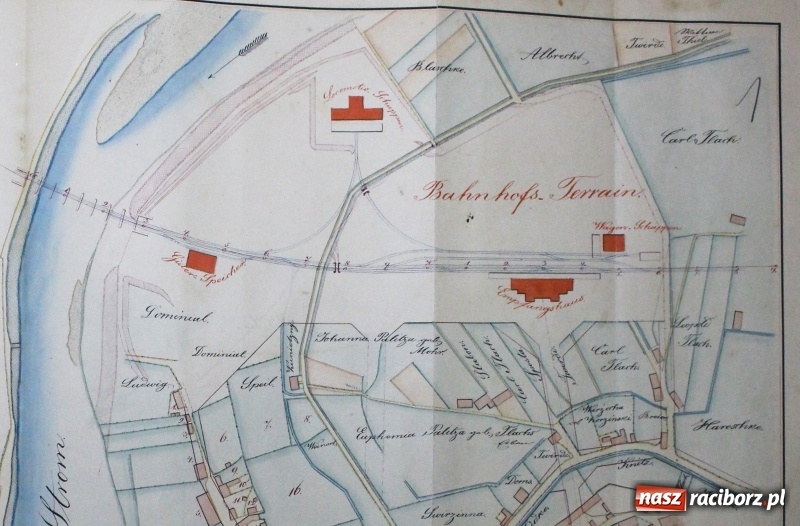Zdjęcie w galerii na portalu naszraciborz.pl: W raciborskim archiwum odkryto plan śródmieścia z 1844 roku  wiadomości z regionu
