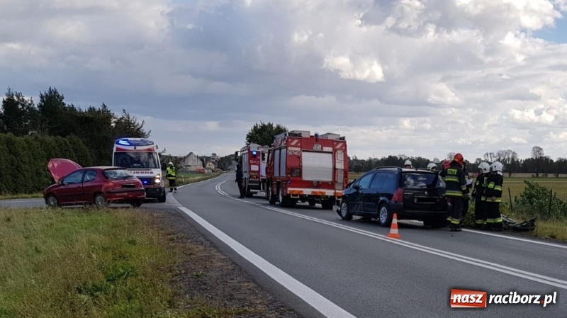 Zdjęcie w galerii na portalu naszraciborz.pl: Dwa peugeoty zderzyły się na DK45 w Bieńkowicach  wiadomości z regionu