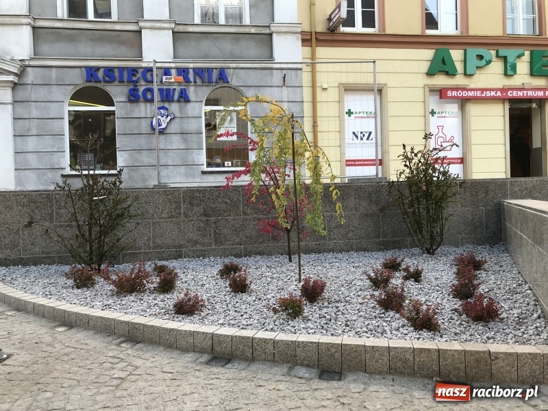 Zdjęcie w galerii na portalu naszraciborz.pl: Na odnowionym odcinku ulicy Długiej zamontowano ławki i siedziska. Jak wam się podobają?  wiadomości z regionu