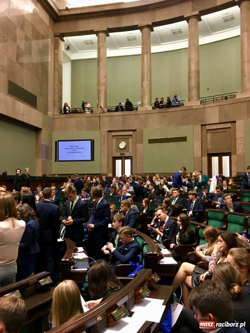 Zdjęcie w galerii na portalu naszraciborz.pl: Uczeń z powiatu raciborskiego posłem Sejmu Dzieci i Młodzieży wiadomości z regionu