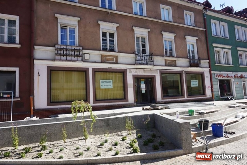 Zdjęcie w galerii na portalu naszraciborz.pl: Władza mówi, że Racibórz się rozwija i ma się dobrze...  wiadomości z regionu