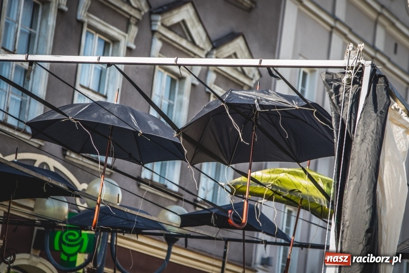Zdjęcie w galerii na portalu naszraciborz.pl: Artyści wyszli w plener, czyli Bajczarz na raciborskim Rynku wiadomości z regionu