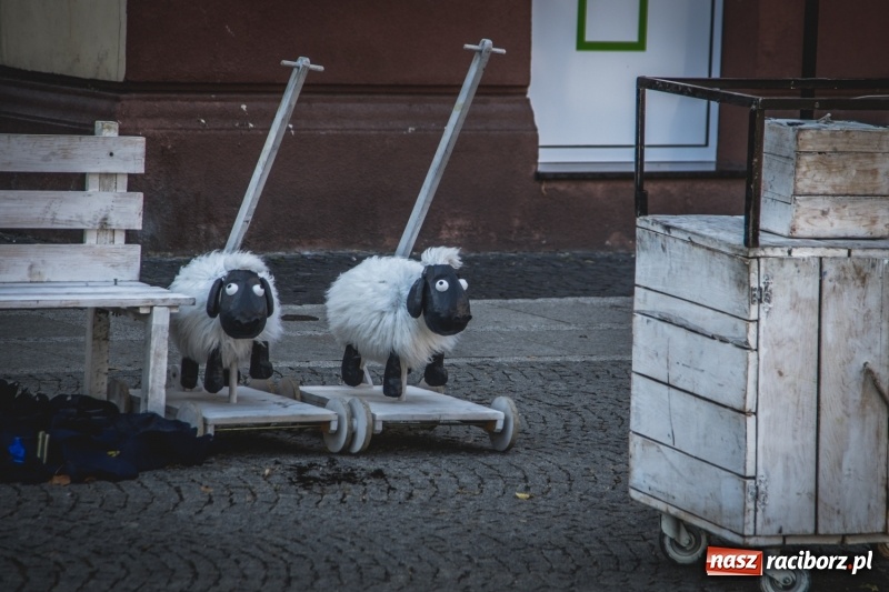 Zdjęcie w galerii na portalu naszraciborz.pl: Artyści wyszli w plener, czyli Bajczarz na raciborskim Rynku wiadomości z regionu