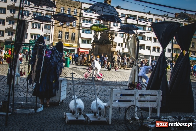 Zdjęcie w galerii na portalu naszraciborz.pl: Artyści wyszli w plener, czyli Bajczarz na raciborskim Rynku wiadomości z regionu